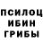 Псилоцибиновые грибы GOLDEN TEACHER Abdulla Bazarbay