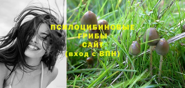 ПСИЛОЦИБИНОВЫЕ ГРИБЫ Верея