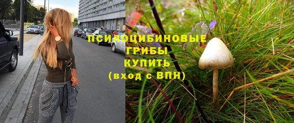 ПСИЛОЦИБИНОВЫЕ ГРИБЫ Верея