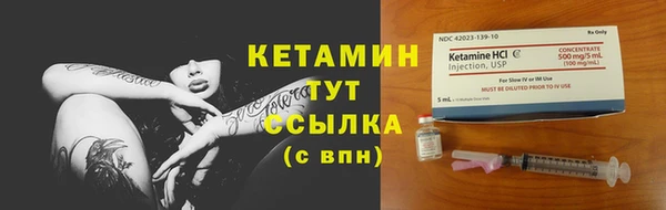 гидра Верхний Тагил