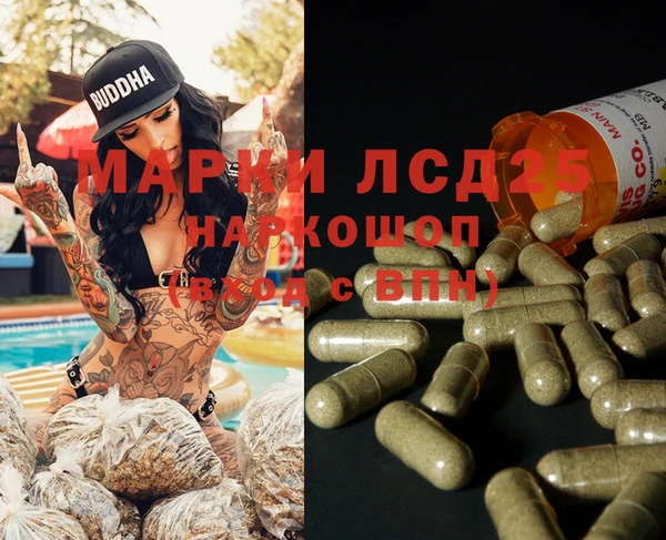 гидра Верхний Тагил