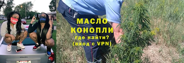 гидра Верхний Тагил