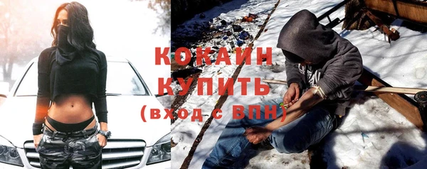 гидра Верхний Тагил