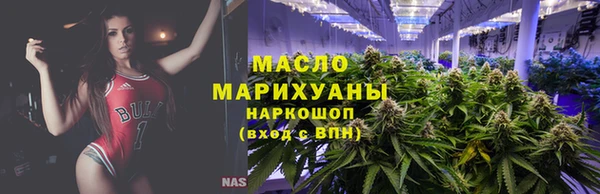 гидра Верхний Тагил