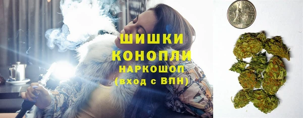 ПСИЛОЦИБИНОВЫЕ ГРИБЫ Верея
