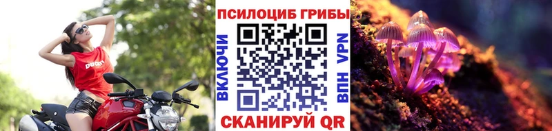 Галлюциногенные грибы GOLDEN TEACHER  Яровое 